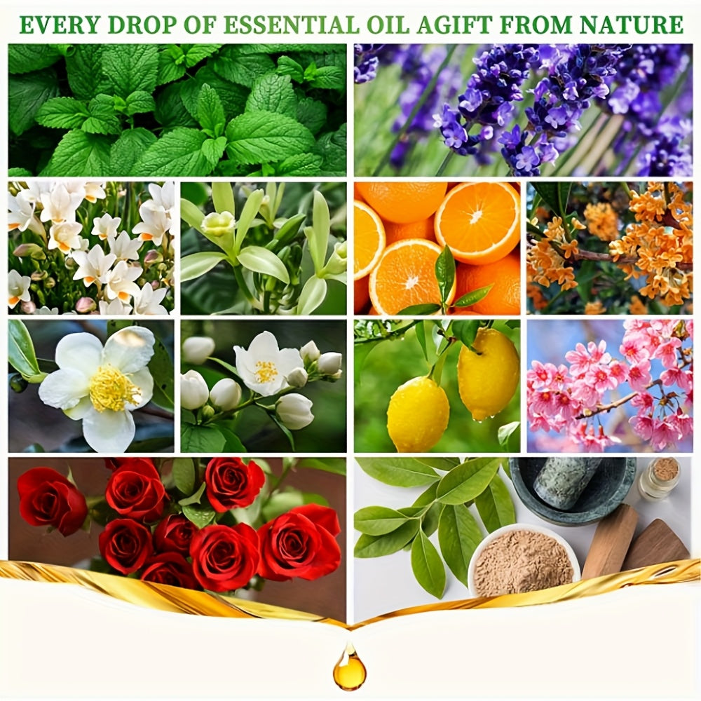 24pcs Fragrance Essential Oil Set - Essential Oils for Diffuser Oil, Aromatherapy, Candle Making - Premium Fragrance Diffuser Essential Oil Gift Set, Perfect for Parties - Revitalize Mind Body