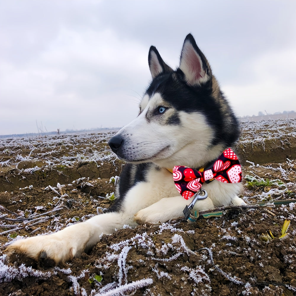 Valentine Dog Collars With Elastic Bands And Bowknots