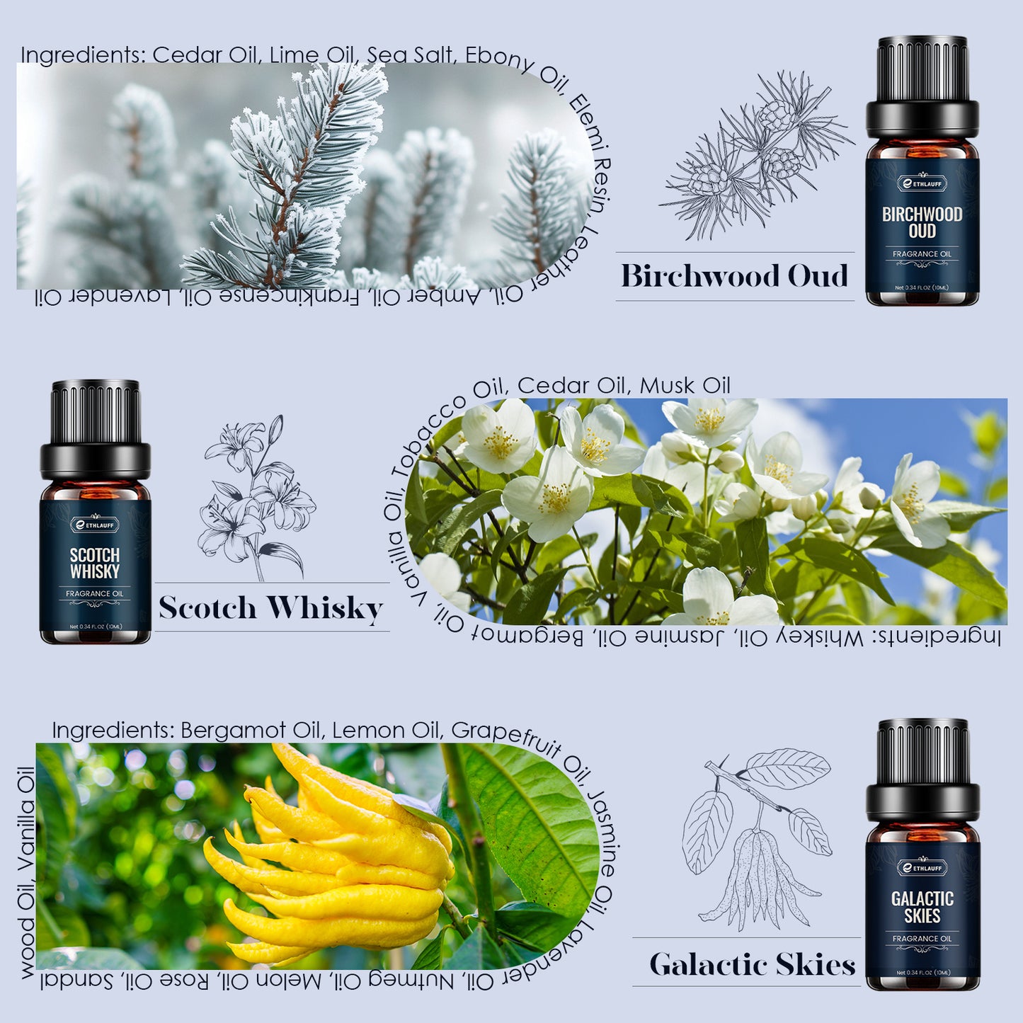 Mens Essential Oils Set, Men Scents Fragrance Oil, Essential Oils for Diffuseret 6x10ML, Diffuser Oils Scents for Home,Tobacco and Bay Leaf, Kentucky Bourbon, Galactic Skies, Scotch Whisky, Birchwood Oud - Revitalize Mind Body