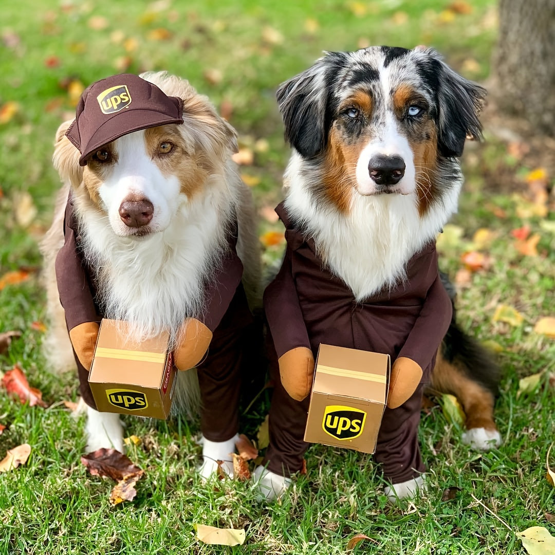Playful Deliveryman Dog Costume UPS Inspired With Box