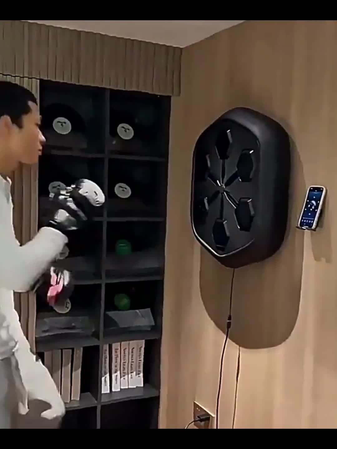 Revitalize Boxing Trainer Wall Mount Two Pairs Of Gloves