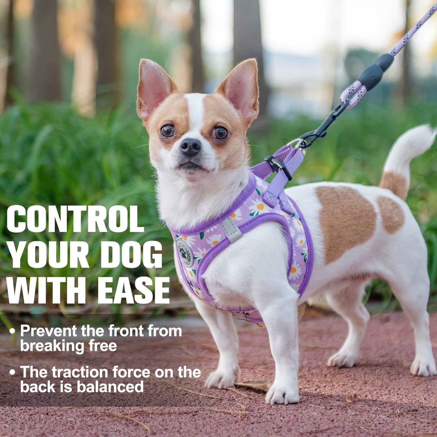 Floral Pattern Reflective Dog Harness And Leash Set