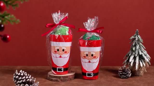 PATELAI Funny Christmas Fuzzy Socks For Women 10 Sets