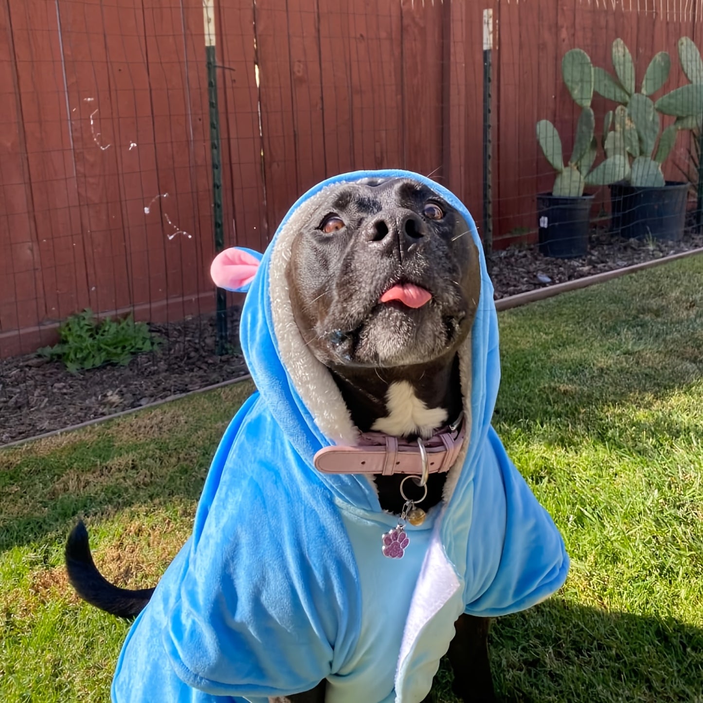 Halloween Christmas Pet Hoodie Costume for Dogs and Cats