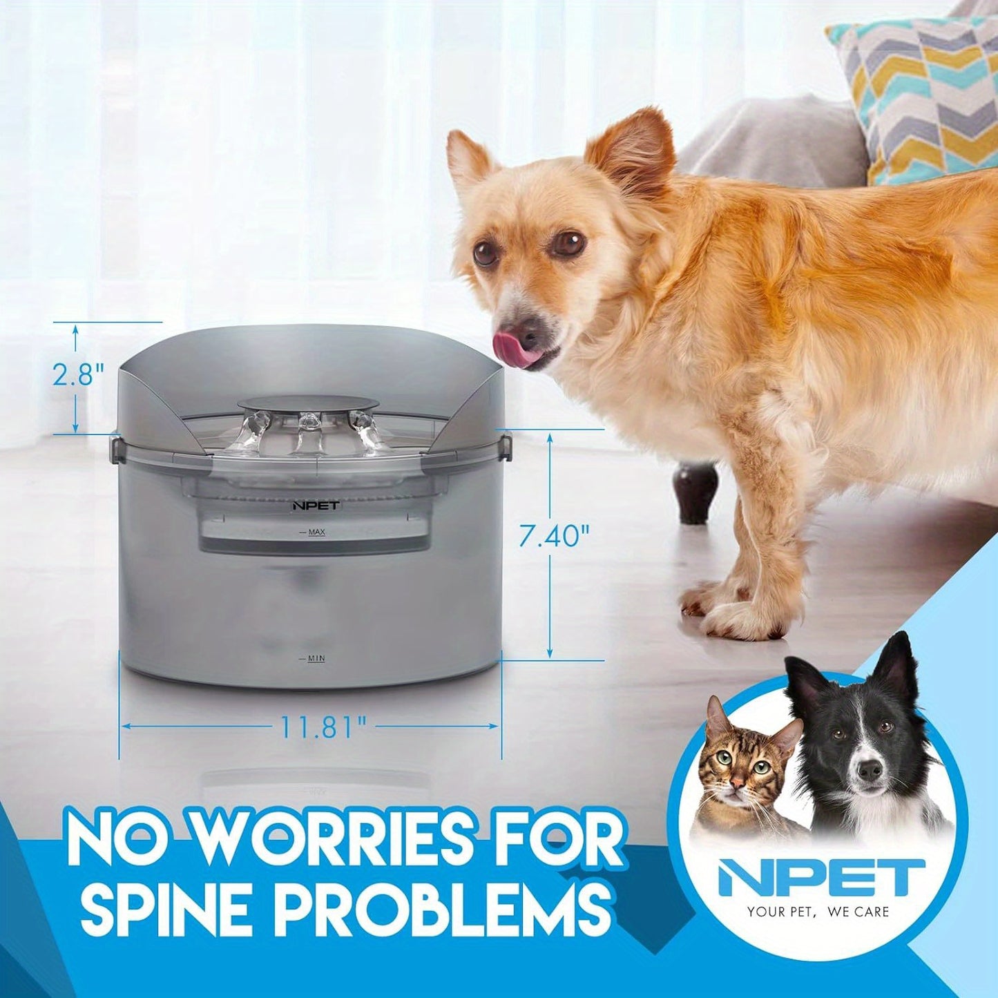 NPET Automatic Dog Water Fountain DF30 High Capacity