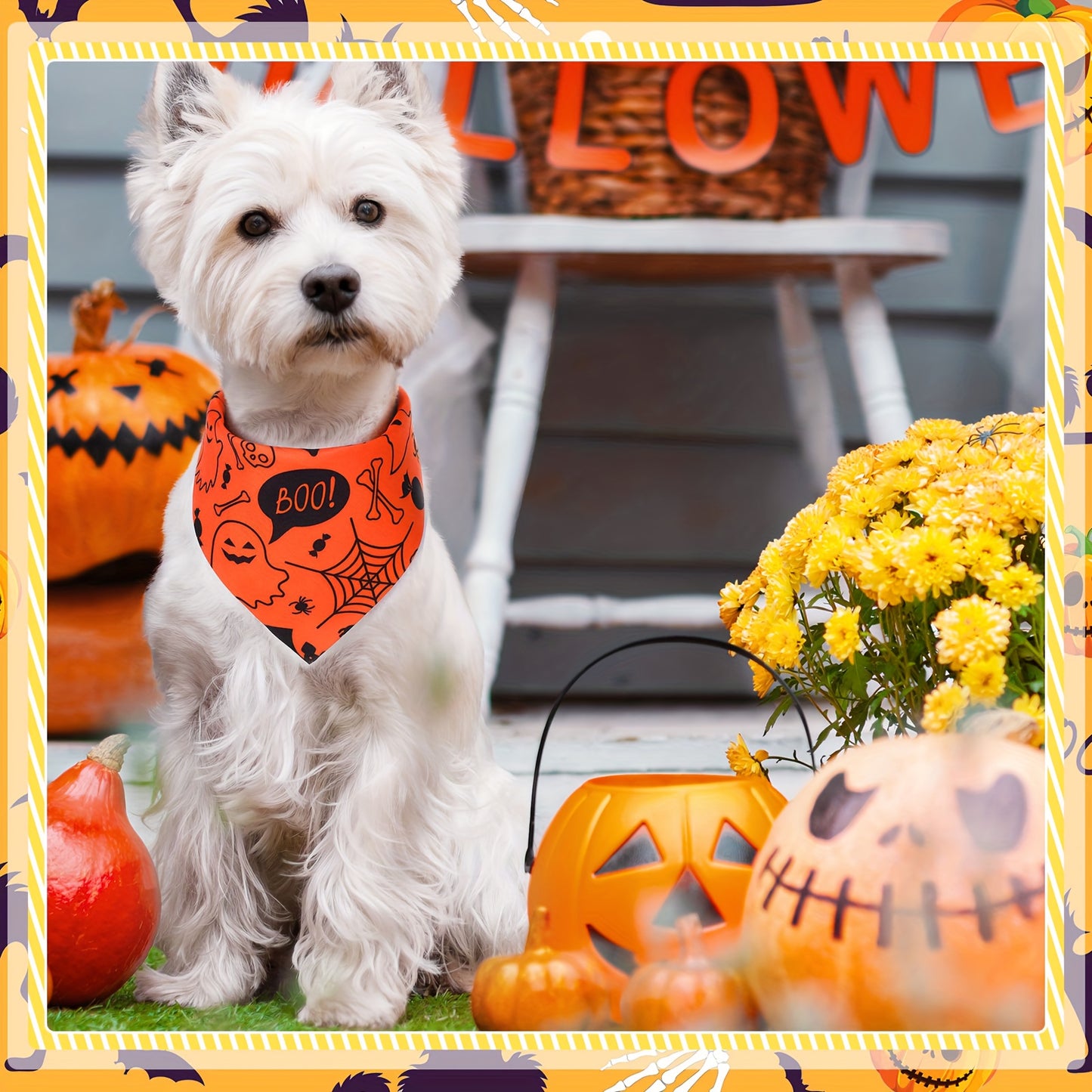 CHUANGDIB Halloween Dog Bandanas Set Spooky Pumpkin Bat
