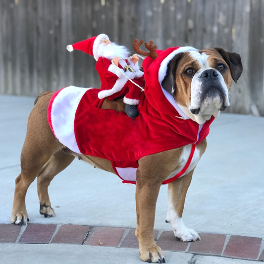 Playfu Santa Claus Riding Dog Costume Festive Pet Outfit