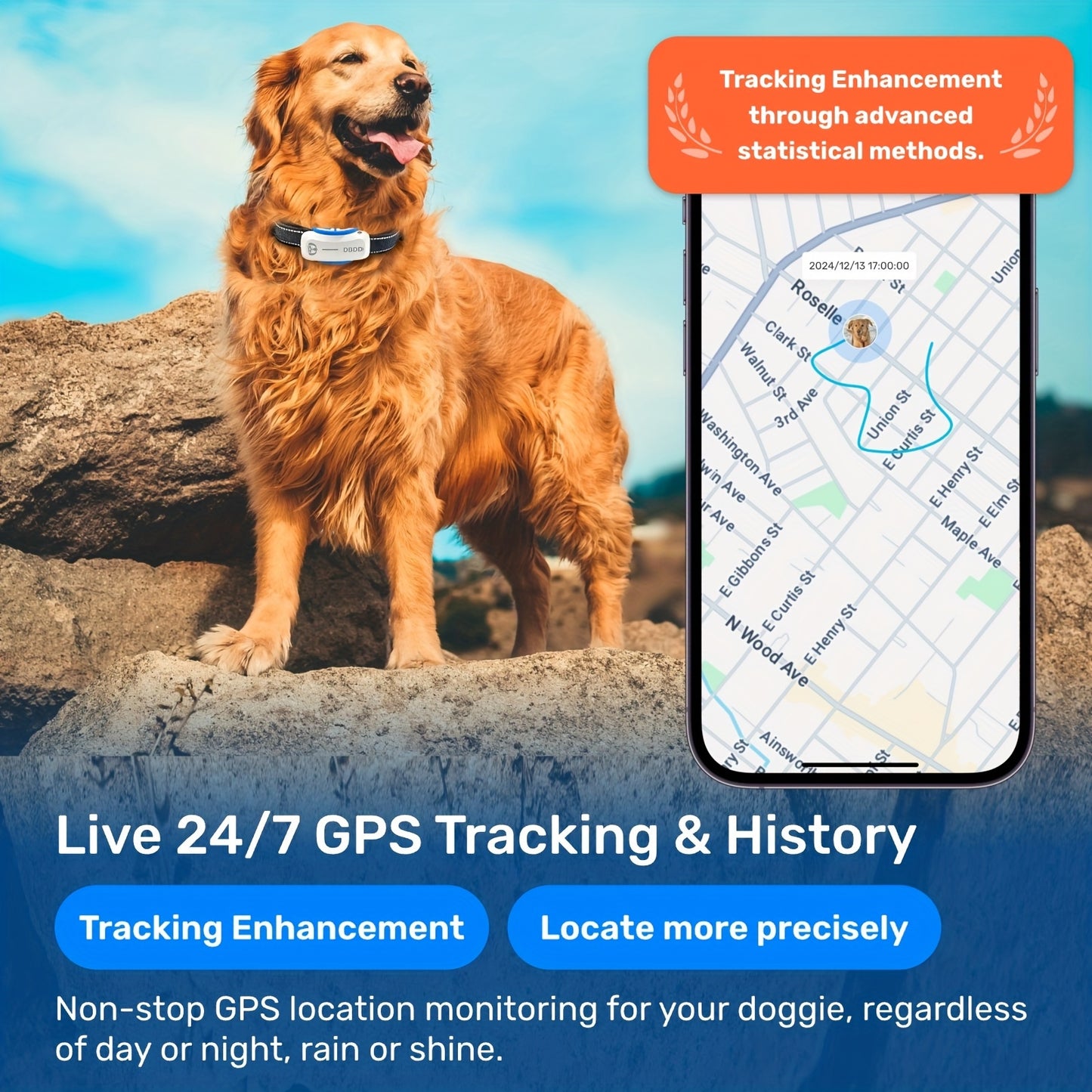 DBDD Dog GPS Tracker Pro Real Time Location and Health