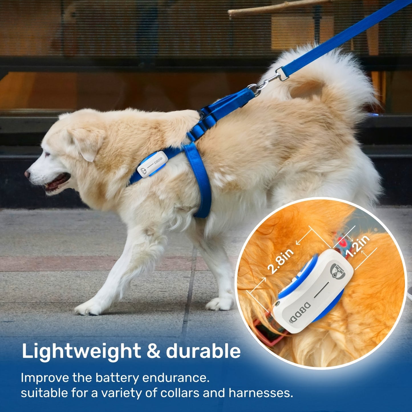 DBDD Dog GPS Tracker Pro Real Time Location and Health