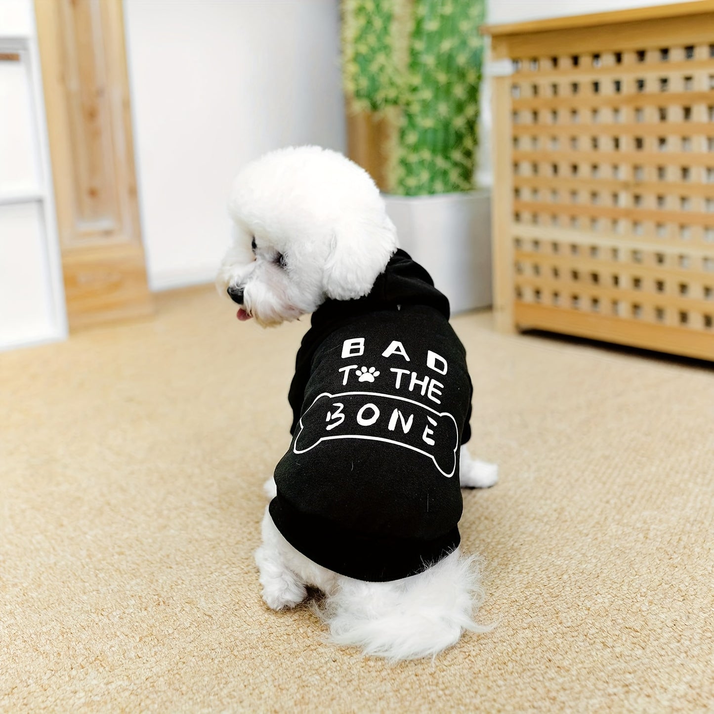 BINGPET Bad to the Bone Dog Hoodie for All Seasons
