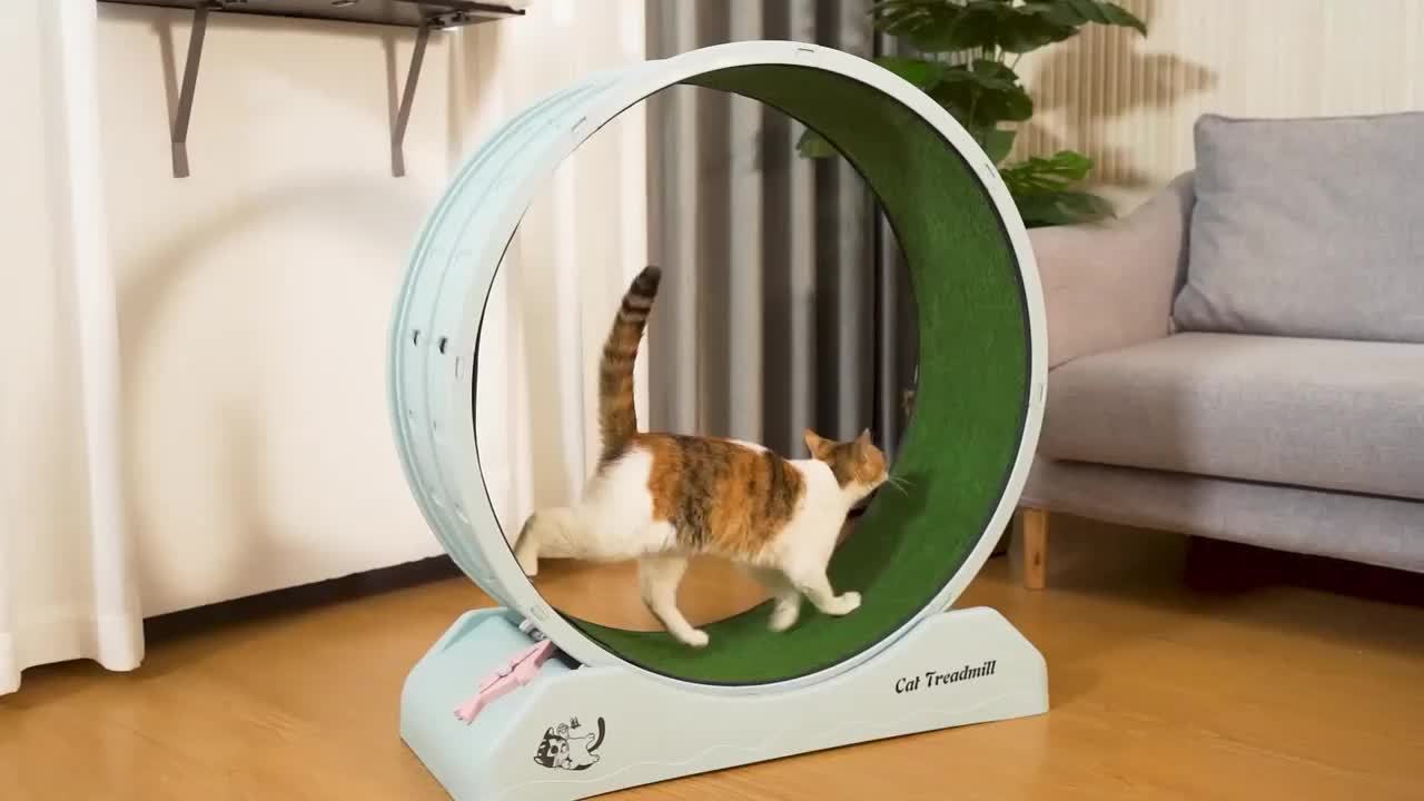 Quiet Cat Treadmill - Animal Print, Non-Electric Exercise Roller For Cats & Small Dogs, Without Battery - Revitalize Mind Body