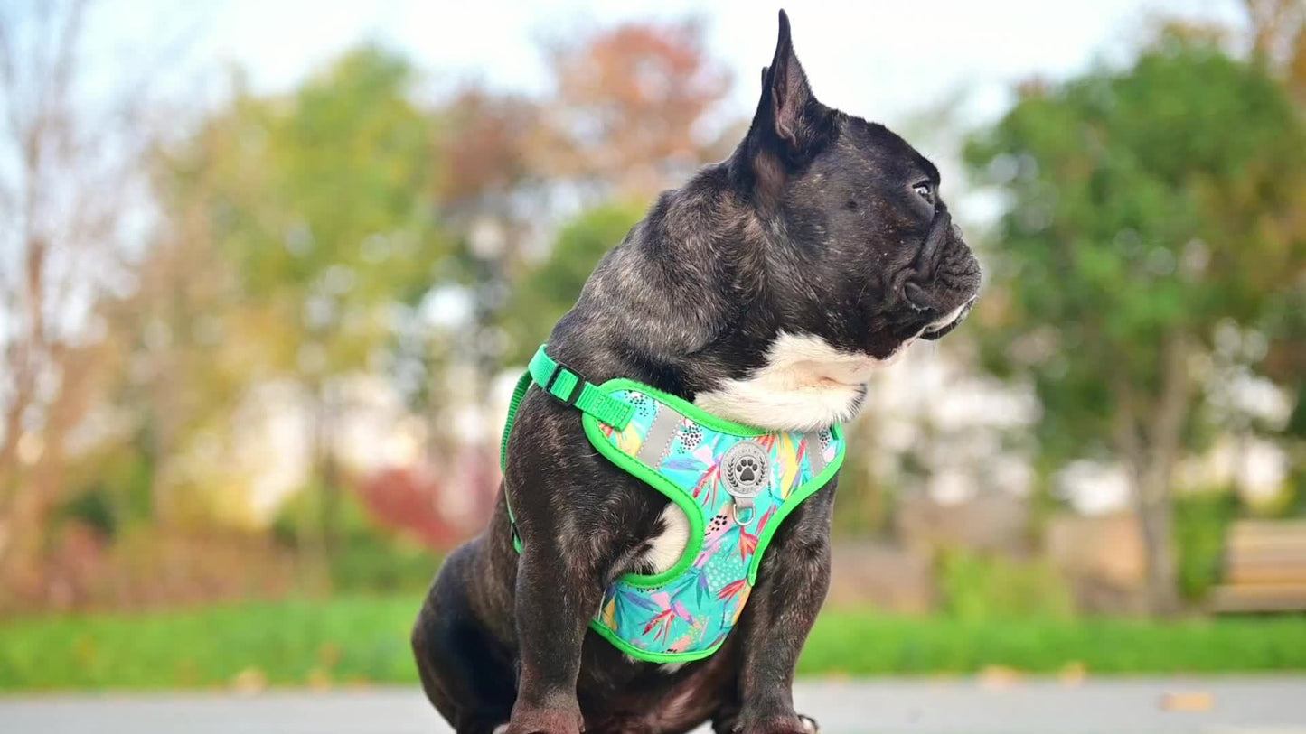 BEAUTYZOO No-Pull Dog Harness Collar And Leash Set