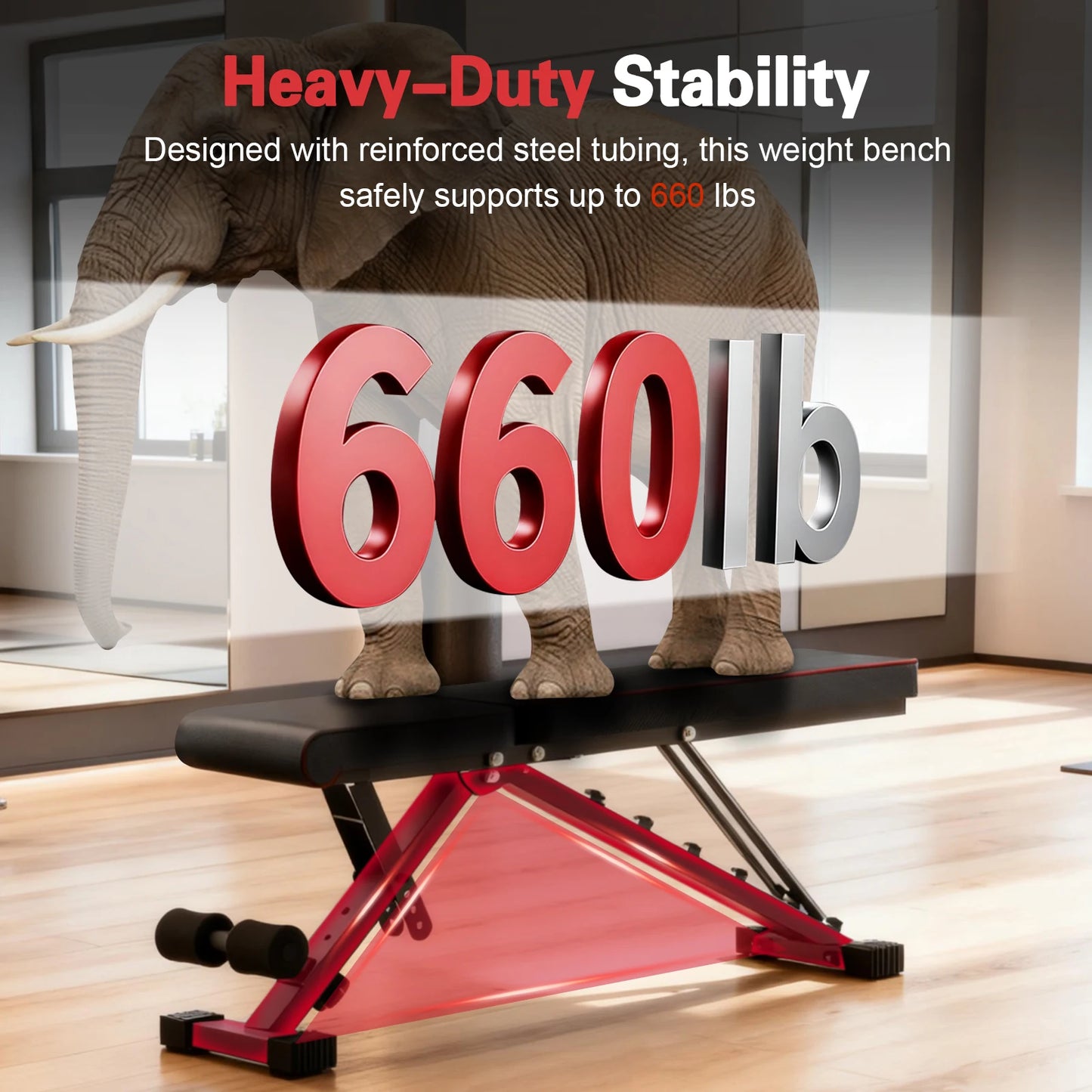 Multifunctional Adjustable Dumbbell Bench Foldable 660LBS Capacity for Home Gym - Revitalize Mind Body