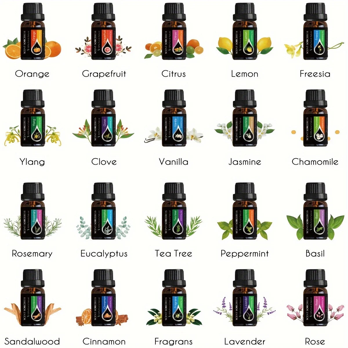 Scent Sorceress Essential Oils Set Lavender Eucalyptus Sweet Orange Lemon - Revitalize Mind Body