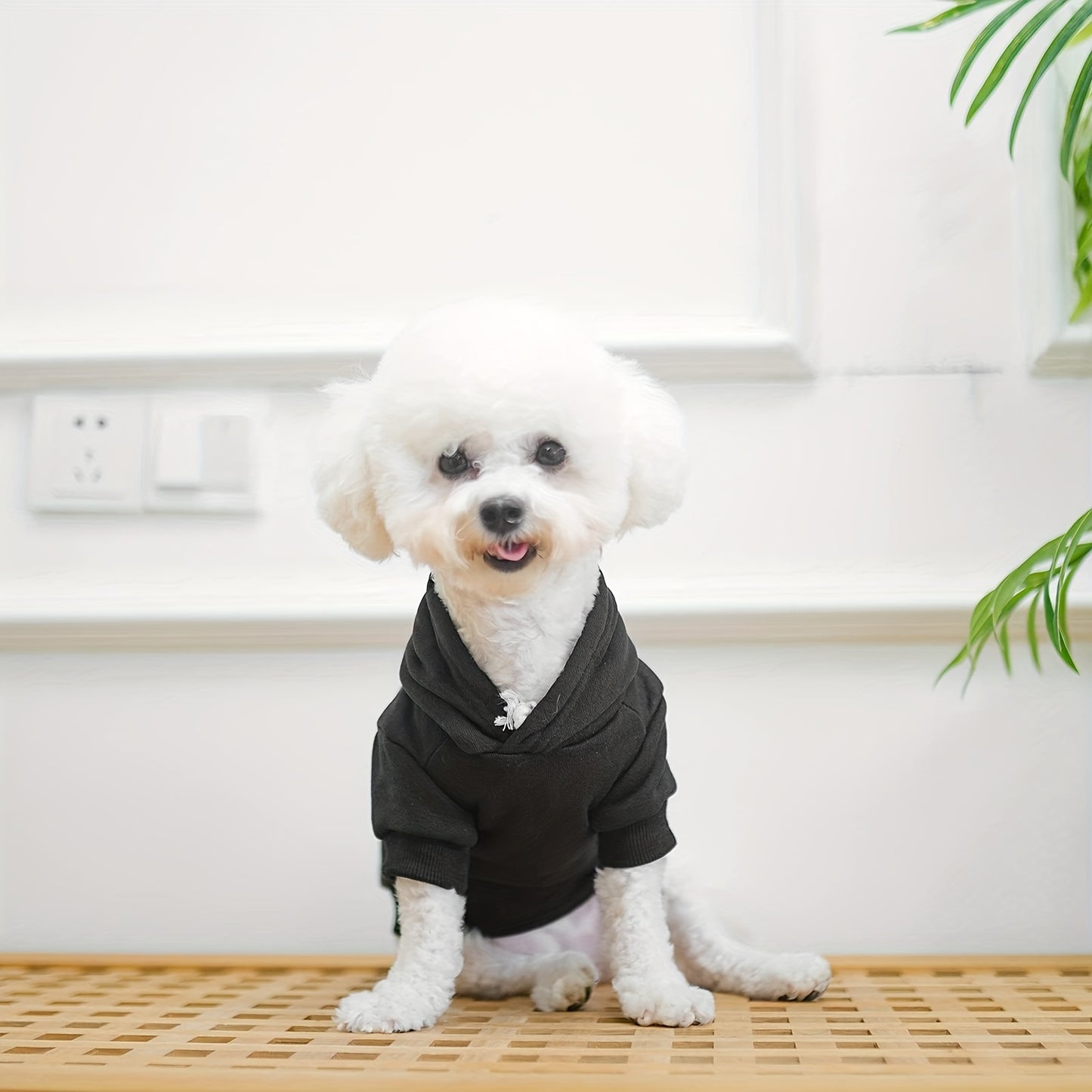 BINGPET Bad to the Bone Dog Hoodie for All Seasons