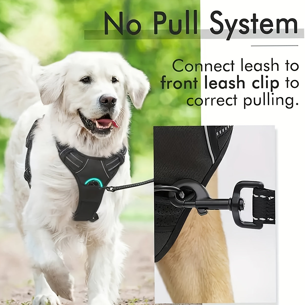 No Pull Dog Harness With Leash And Poop Bags Outdoor