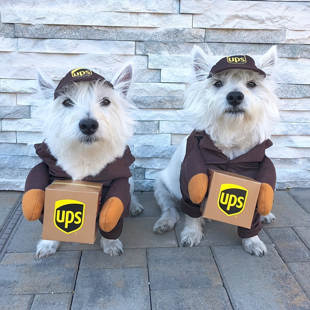 Playful Deliveryman Dog Costume UPS Inspired With Box
