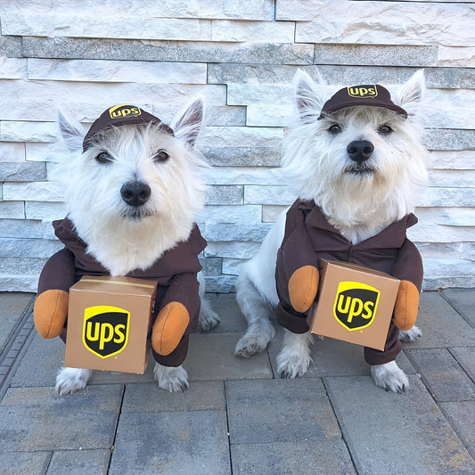 Playful Deliveryman Dog Costume UPS Inspired With Box