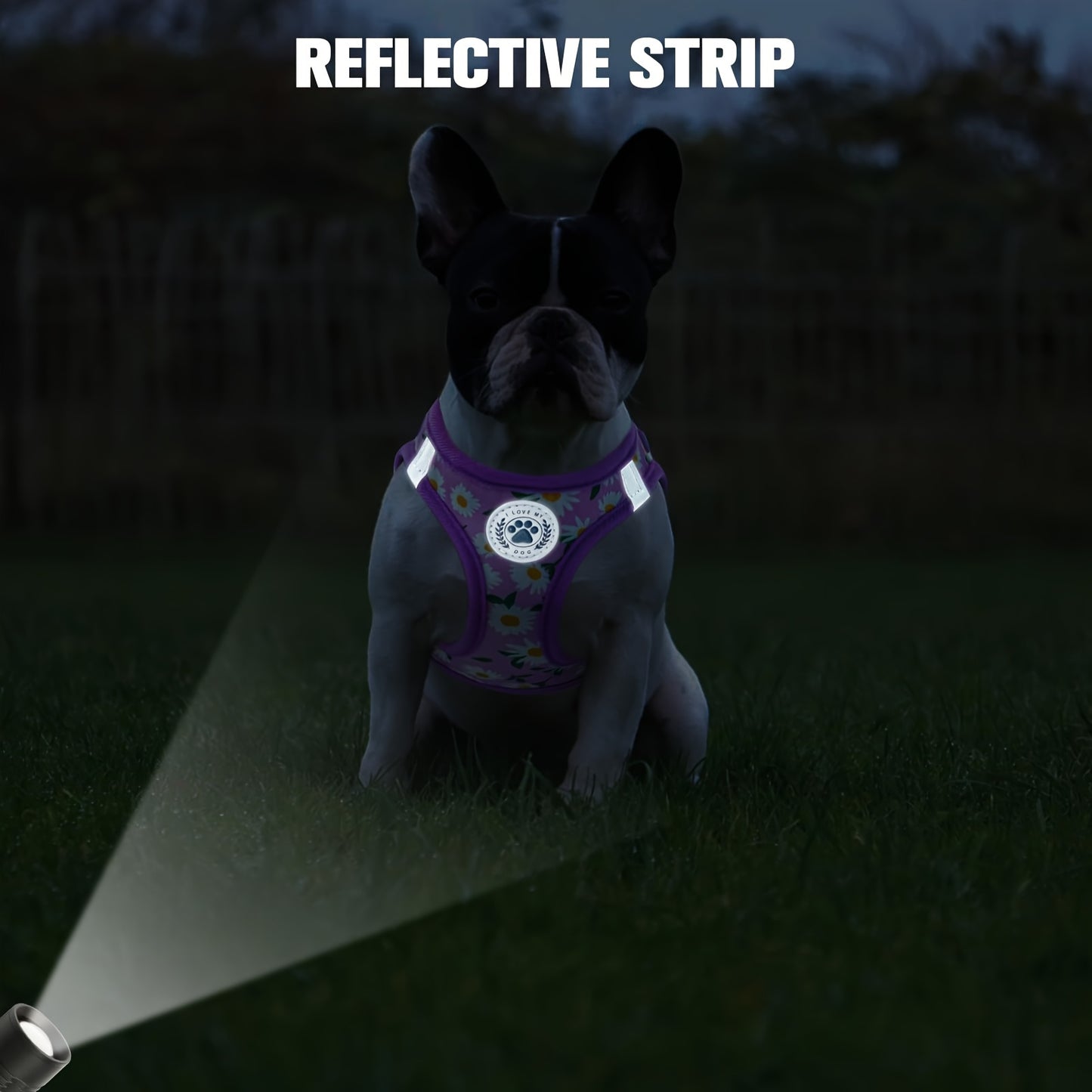 Floral Pattern Reflective Dog Harness And Leash Set