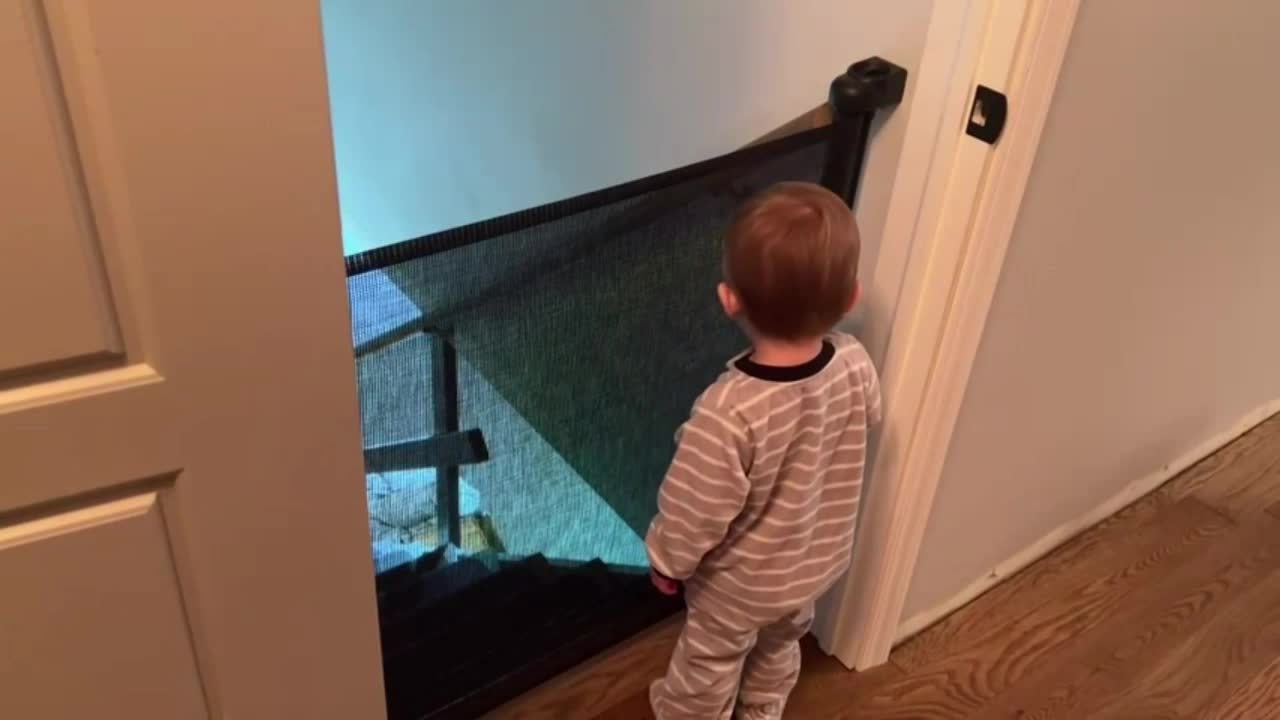 Versatile Retractable & Pet Gate, No Drilling Required - Black Nylon Mesh, Extends 55" Wide, 33.9" High, Ideal for Doorways, Stairs, Hallways, Decks, and Porches, Retractable Doorway Gate|Versatile Home Gate|Durable Nylon Mes - Revitalize Mind Body