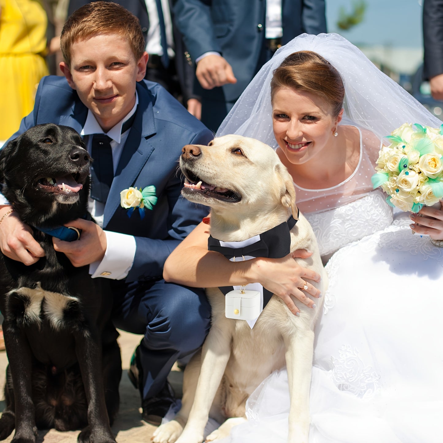 Elegant Dog Tuxedo Outfit with Bow Tie and Leash Set