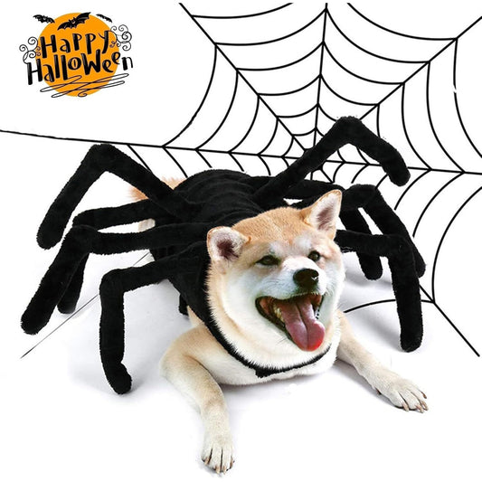 COLOURTREE Giant Spider Dog Costume Halloween Pet Cosplay